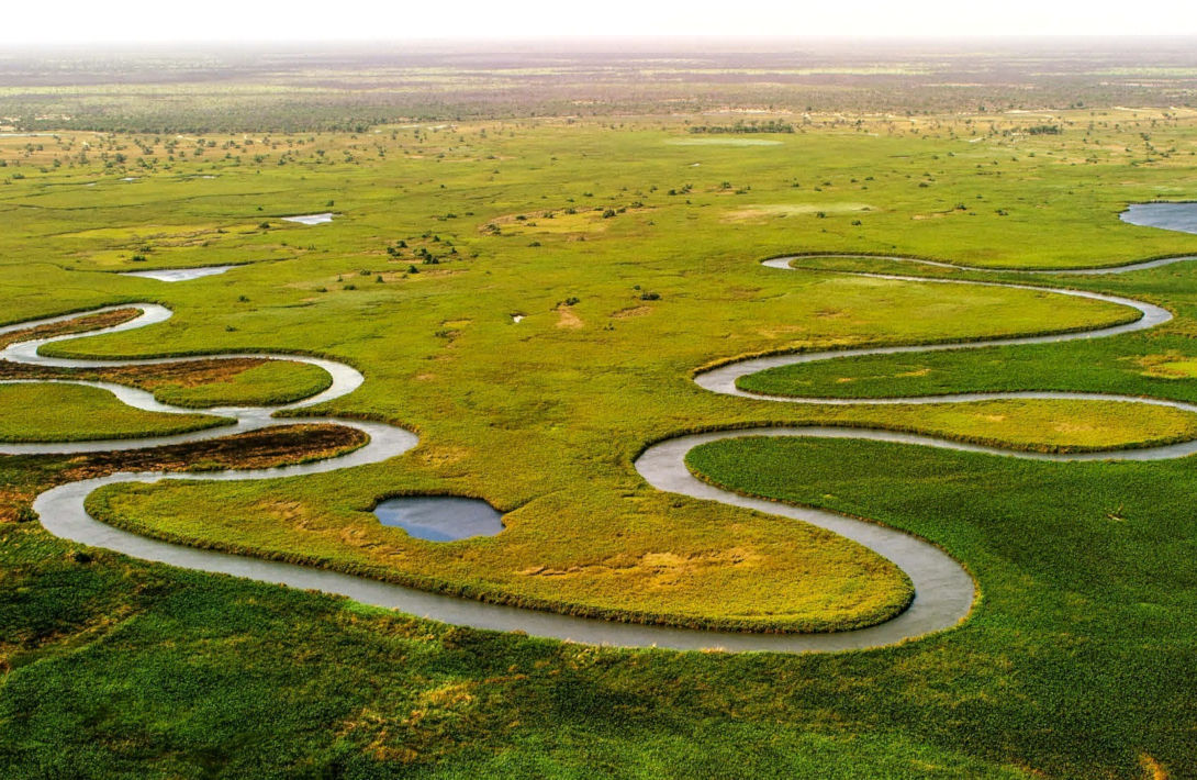 Bezoek de Okavango Delta in Botswana bij self-drive reis