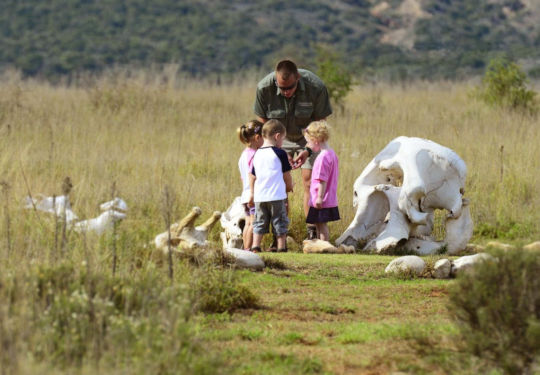 Kinderen tijdens safari in Afrika