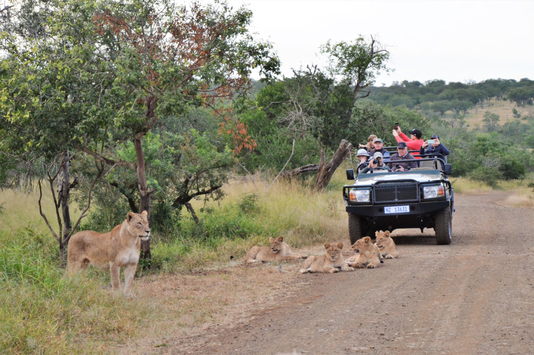 Op safari in Zuid Afrika 4