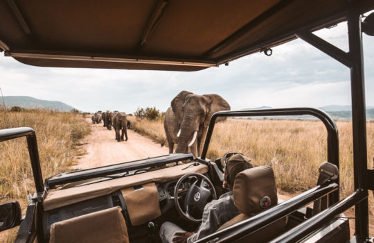 Op safari in Zuid Afrika 5