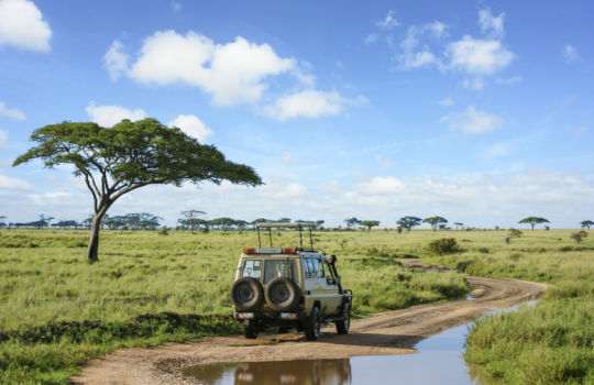 Safari in de Serengeti in Tanzania