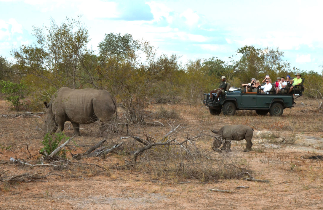 Safari in open voertuig in Zuid Afrika