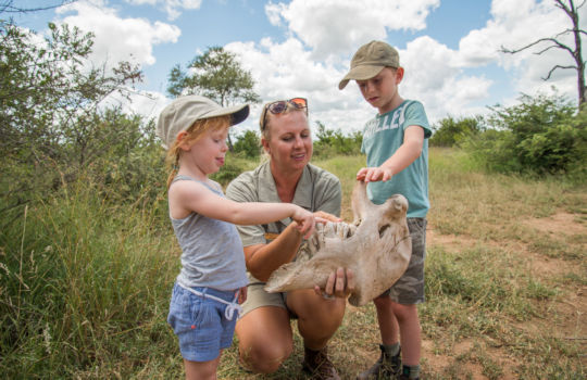 Safari met minderjarige kinderen