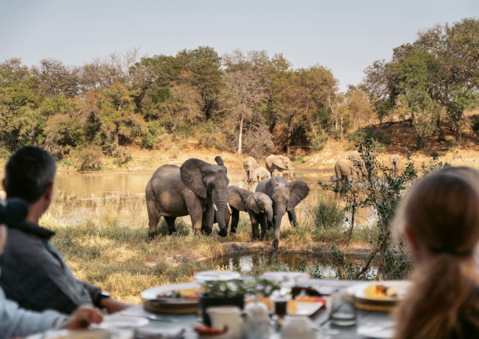 Uitzicht op olifanten tijdens ontbijt bij safari lodge in Zuid Afrika