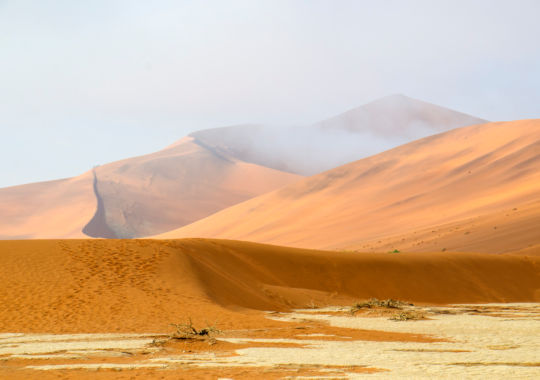Mist in de Namib Naukluft woestijn