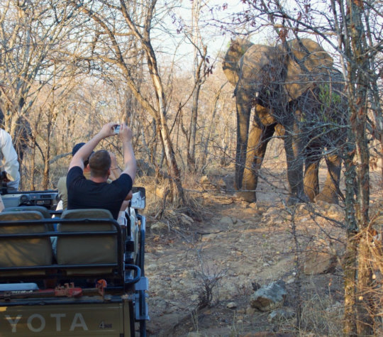 Safari in het Mabula Game Reserve