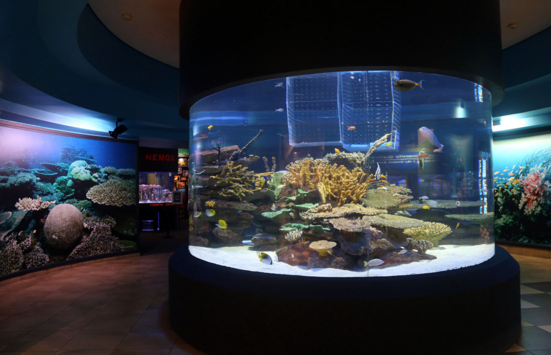 Two Oceans Aquarium in Kaapstad