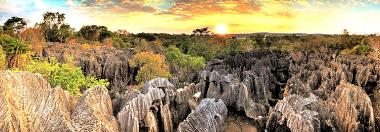 Landschap bij de singy de Bemaraha op Madagascar