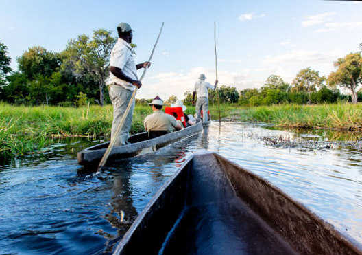Mokorotocht in de Okavango delta