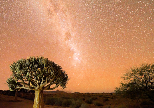 Nachtelijke sterrenhemel met melkweg in Namibie