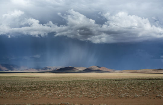Regenbui in Namibië