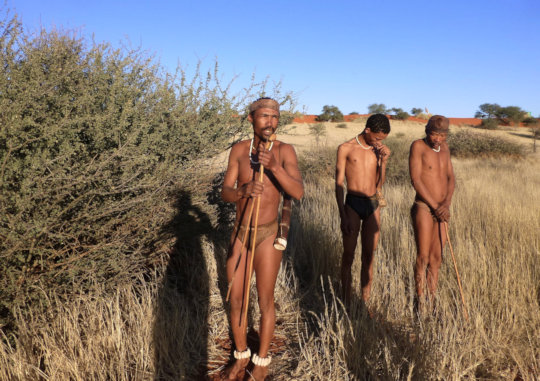 San Bosjesmannen tijdens de jacht in de Kalahari
