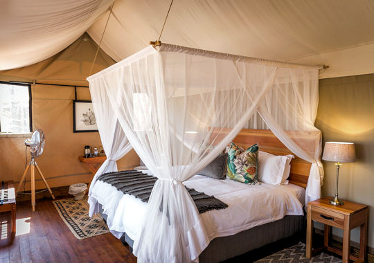 Tent bij Mankwe Tented Retreat in Botswana