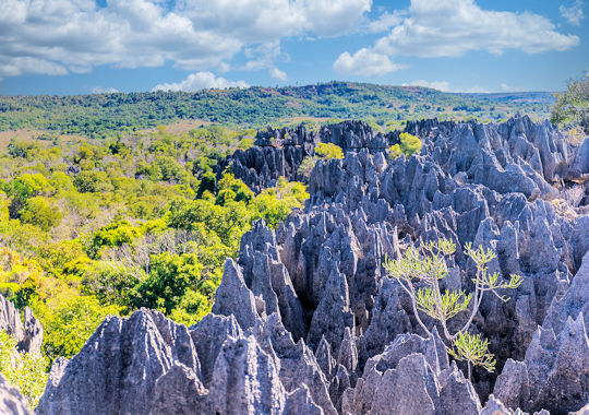 Tsingy de Bemaraha tijdens rondreis op Madagascar