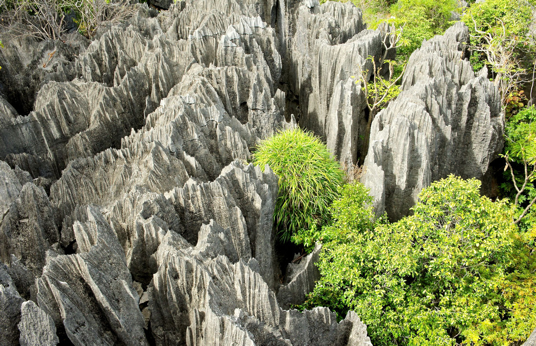 Tsingy de Bemaraha