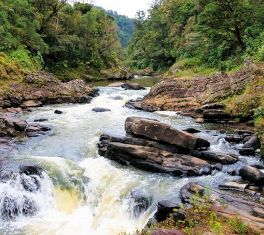 rivier in Ranomafana National Park
