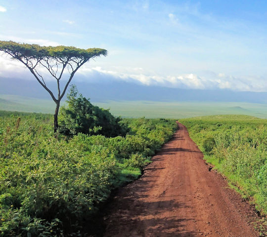 Ngorongor krater safari hoogtepunt Tanzania