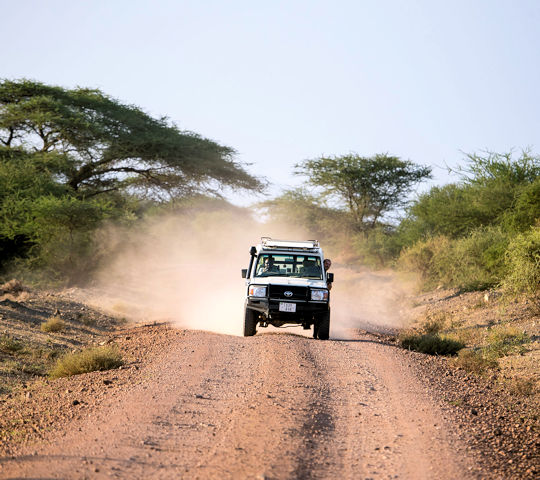 Onderweg tijdens hoogtepunten van Tanzania safari reis