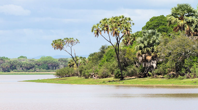 Rufiji rivier in het Selous National Park in Tanzania