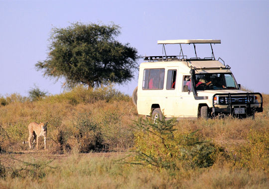 Safari voertuig met opklapbaar dak in Tanzania