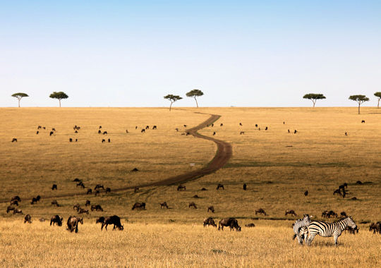 Serengeti National Park safari Tanzania