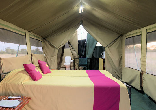 Tent bij Serengeti View Camp