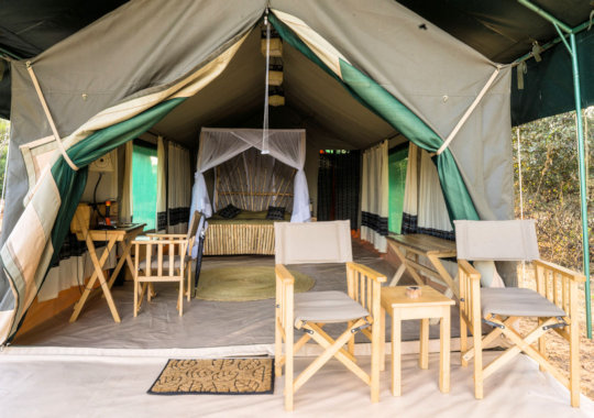 Tent bij Tarangire View Camp