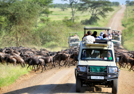 4x4 voertuig safari reis door 4 parken in Tanzania
