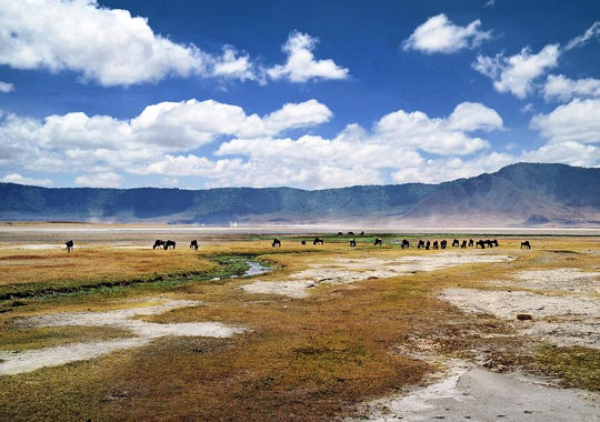 Bezoek aan Ngorongoro krater tijdens safari Tanzania