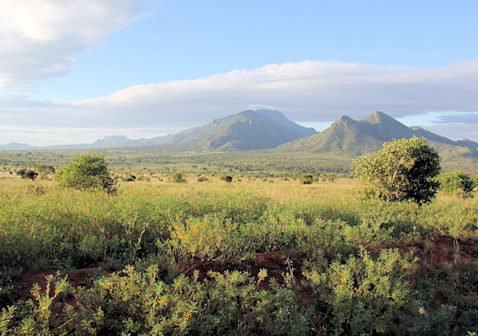 Landschap in Tsavo West tijdens safari en strand reis Kenia