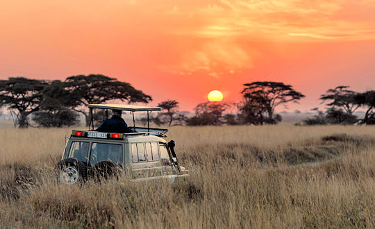 Op safari in Tanzania met safari voertuig