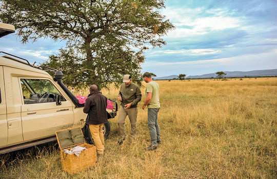 Op safari in de Serengeti