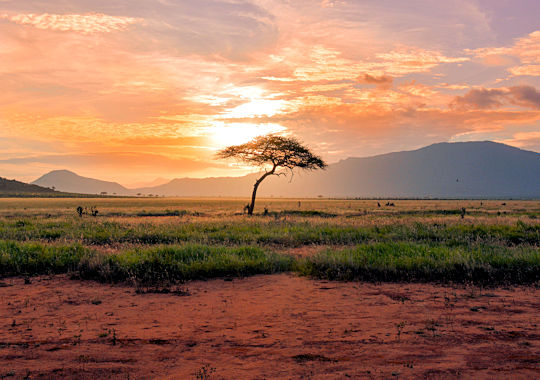 Zonsondergang tijdens safari in de Serengeti inTanzania