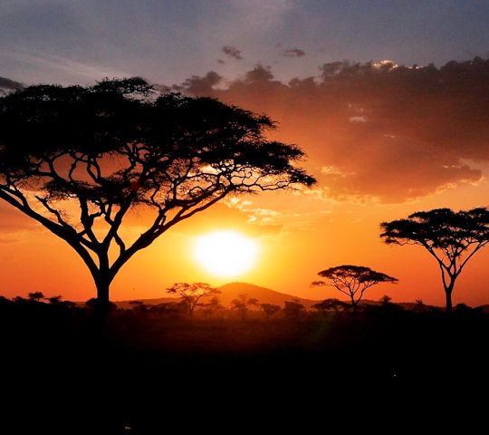 Zonsondergang tijdens safari reis inTanzania