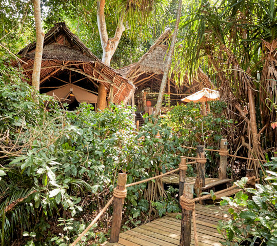 Jungle suite tussen de bomen bij Fundu Lagoon