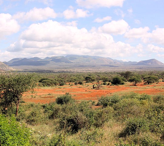 Landschap in hetTsavo West National Park safari reis