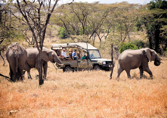Safari per 4x4 voertuig in de Masai Mara in Kenia