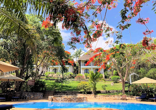 Tuin met zwembad bij Blue Bay resort op Zanzibar
