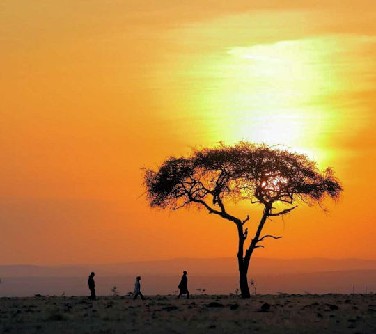 Wandelsafari met zonsondergang in Kenia