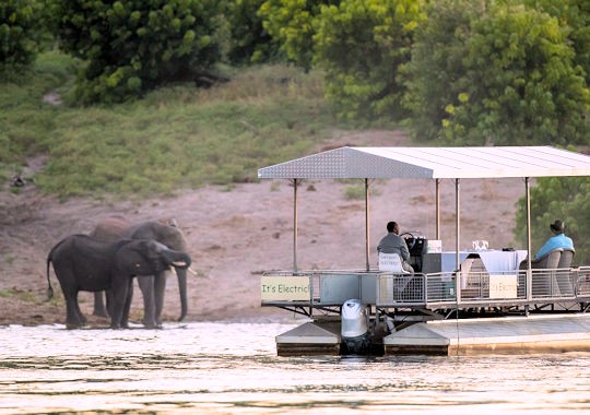 Bootsafari op de Chobe rivier in Botswana 1