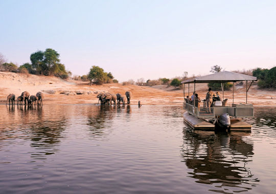 Bootsafari op de Chobe rivier tijdens luxe huwelijksreis in Botswana