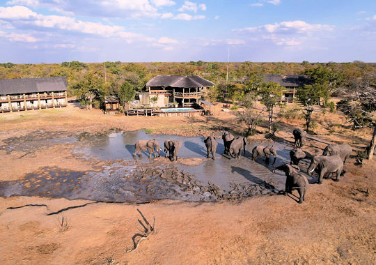 Drinkende olifanten bij safari lodge in Botswana