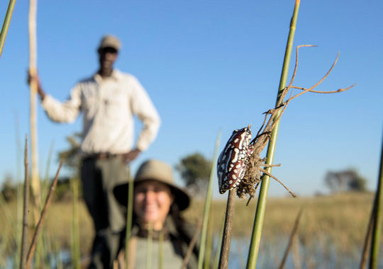 Mokoro safari in de Okavango delta in Botswana