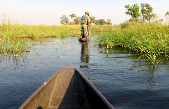 Mokorotocht door de Okavango delta tijdens reis in Botswana
