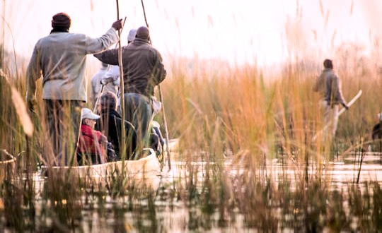 Mokorotocht op het water in de Okavango Delta