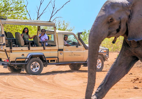 Safari in het Chobe National Park in Botswana