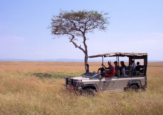 Safari in open voertuig in de Masai Mara in Kenia
