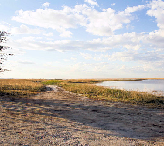 Sowa zoutpan bij Nata in Botswana