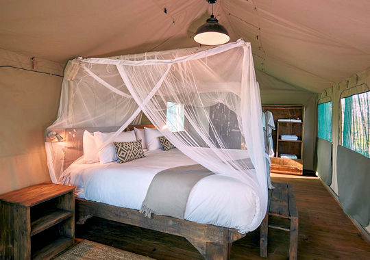 Tent bij Mogogelo Camp in Botswana