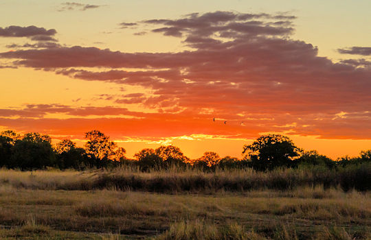 Zonsondergang in de Kalahari woestijn in Botswana